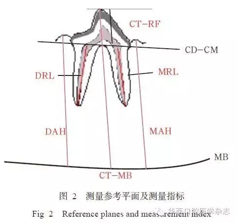 2.webp.jpg 2.webp.jpg