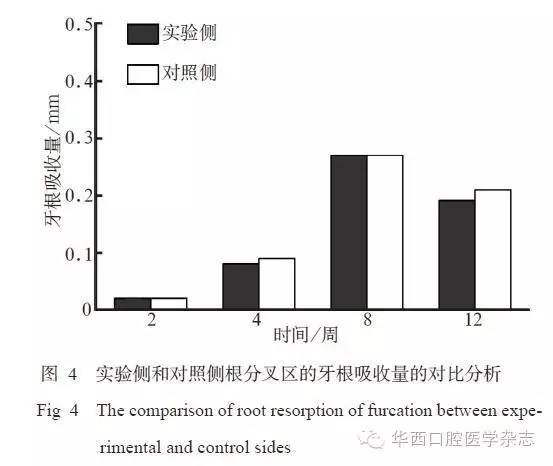 5.webp.jpg 5.webp.jpg