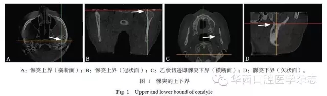 1.webp.jpg 1.webp.jpg