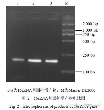 640.webp (1).jpg 640.webp (1).jpg