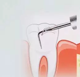 640.webp.jpg 640.webp.jpg