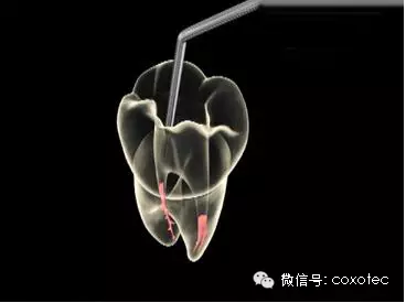 圖片8.png 圖片8.png