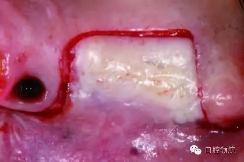 640.webp (2).jpg 640.webp (2).jpg