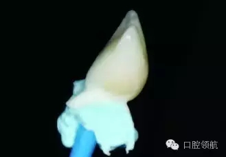 640.webp (6).jpg 640.webp (6).jpg