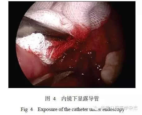 640.webp (3).jpg 640.webp (3).jpg