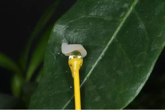 640.webp (10).jpg 640.webp (10).jpg