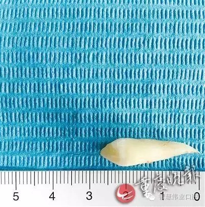 640.webp (1).jpg 640.webp (1).jpg