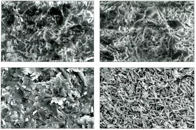 640.webp (2).jpg 640.webp (2).jpg