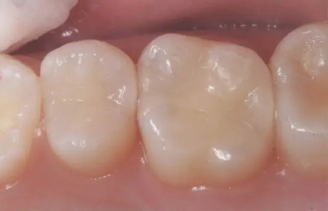 640.webp (3).jpg 640.webp (3).jpg