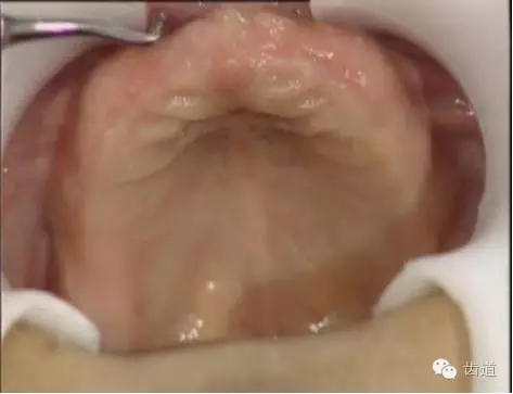 640.webp.jpg 640.webp.jpg