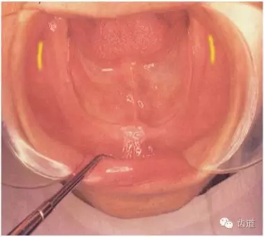 640.webp (13).jpg 640.webp (13).jpg