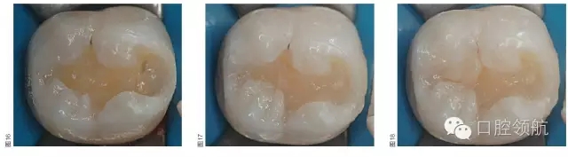 640.webp (7).jpg 640.webp (7).jpg