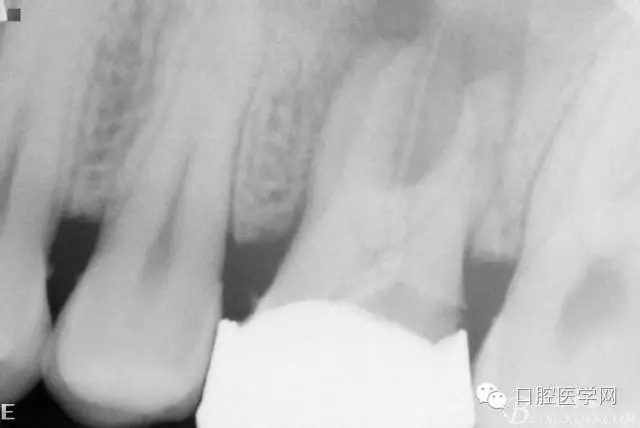 640.webp.jpg 640.webp.jpg