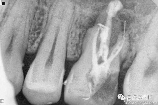 640.webp (1).jpg 640.webp (1).jpg