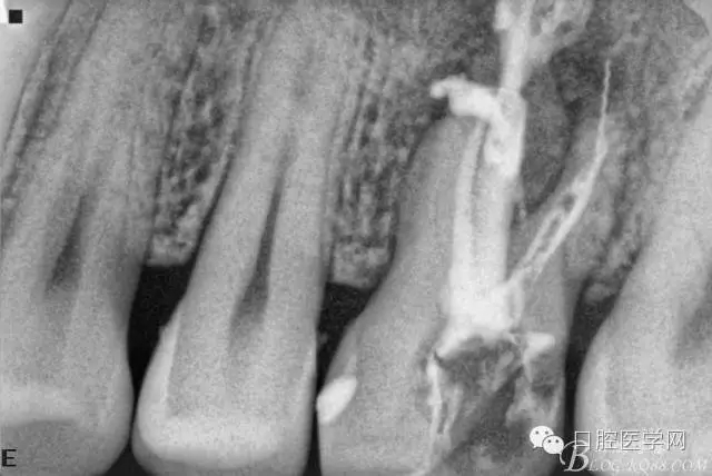 640.webp (2).jpg 640.webp (2).jpg