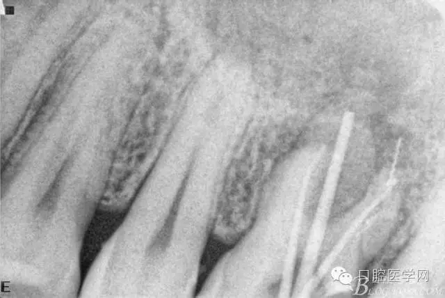 640.webp (3).jpg 640.webp (3).jpg