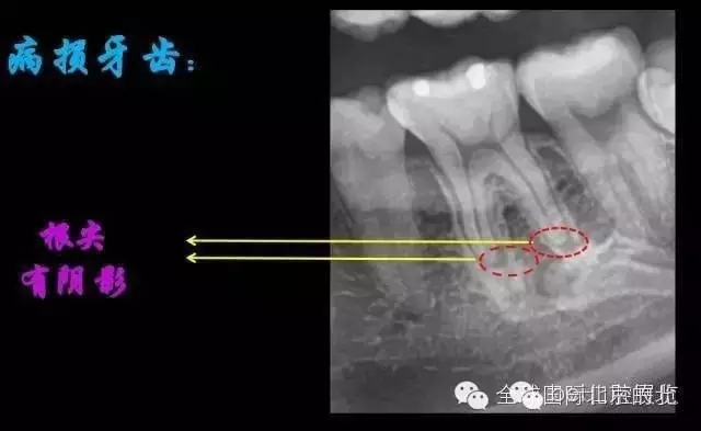 640.webp (4).jpg 640.webp (4).jpg