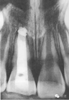 640.webp (7).jpg 640.webp (7).jpg