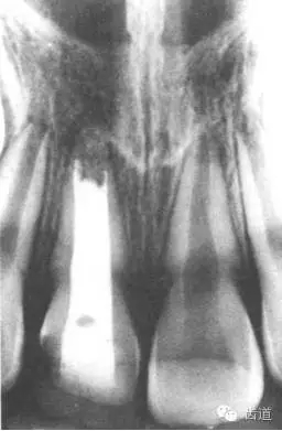 640.webp (10).jpg 640.webp (10).jpg