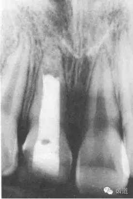 640.webp (11).jpg 640.webp (11).jpg