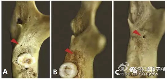 640.webp (1).jpg 640.webp (1).jpg