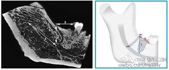 640.webp (3).jpg 640.webp (3).jpg