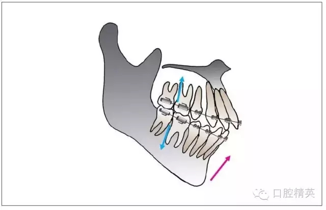 640.webp.jpg 640.webp.jpg