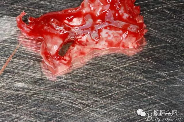 640.webp (13).jpg 640.webp (13).jpg