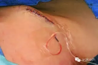 640.webp (3).jpg 640.webp (3).jpg