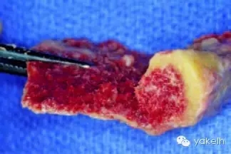 640.webp (5).jpg 640.webp (5).jpg