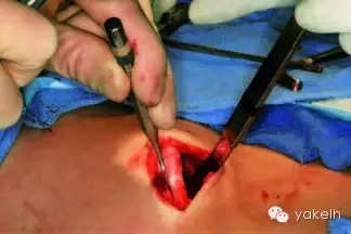 640.webp (6).jpg 640.webp (6).jpg