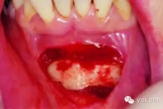 640.webp (16).jpg 640.webp (16).jpg