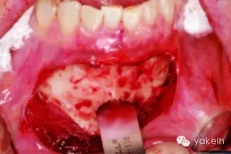 640.webp (18).jpg 640.webp (18).jpg