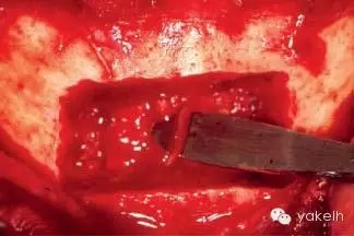 640.webp (24).jpg 640.webp (24).jpg