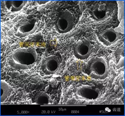 640 (5).webp (1).jpg 640 (5).webp (1).jpg