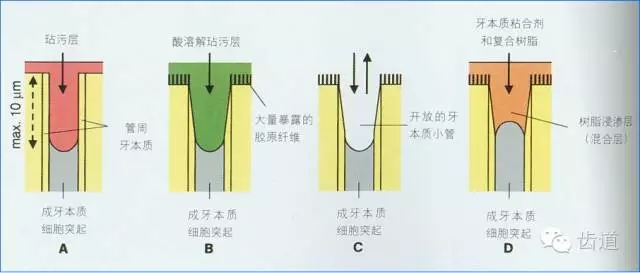 640 (5).webp (3).jpg 640 (5).webp (3).jpg