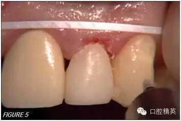 640.webp (4).jpg 640.webp (4).jpg