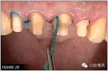 640.webp (27).jpg 640.webp (27).jpg