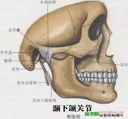 640.webp.jpg 640.webp.jpg