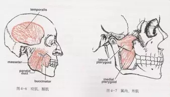 640.webp (4).jpg 640.webp (4).jpg