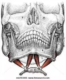 640.webp (6).jpg 640.webp (6).jpg