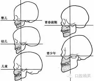 640.webp.jpg 640.webp.jpg