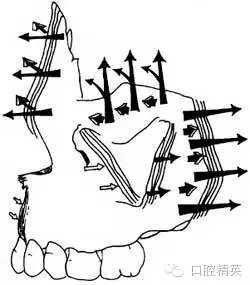 640.webp (1).jpg 640.webp (1).jpg