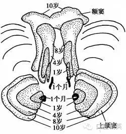 640.webp (2).jpg 640.webp (2).jpg