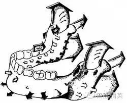 640.webp (3).jpg 640.webp (3).jpg