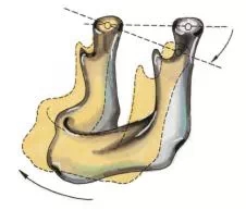 640.webp (10).jpg 640.webp (10).jpg