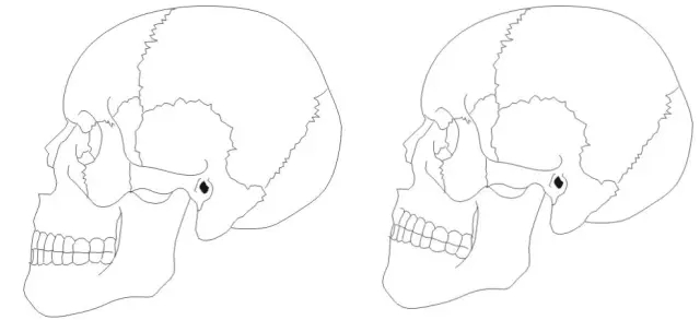 640.webp (16).jpg 640.webp (16).jpg