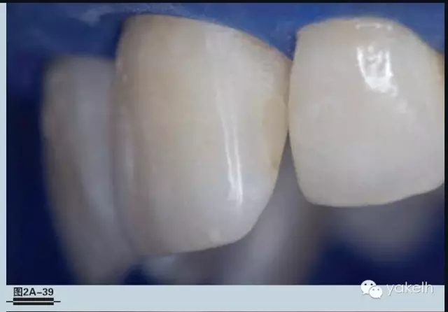 640.webp (19).jpg 640.webp (19).jpg