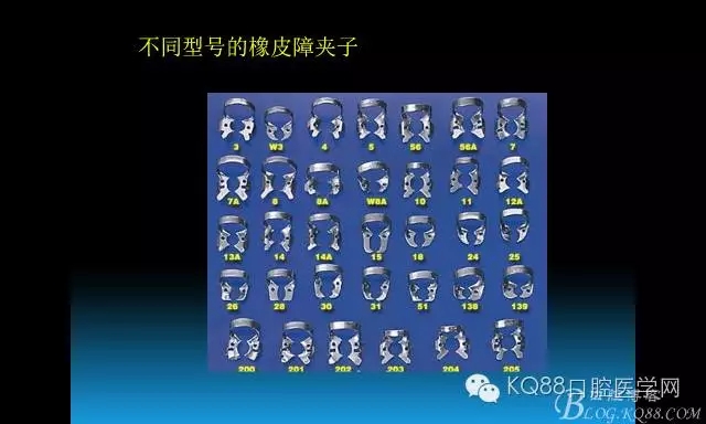 640.webp (23).jpg 640.webp (23).jpg