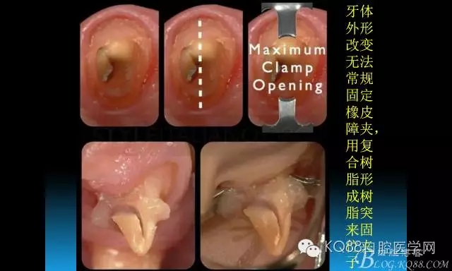 640.webp (60).jpg 640.webp (60).jpg